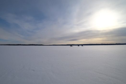 Moose run on an icy lake. Winter and ice on the lake, moose running through the snow.
