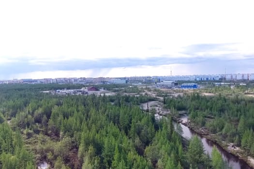 A river in the taiga near the town of New Urengoy.