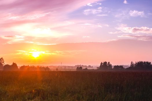 Sunset of the forest against the background of clearing and forest strip. Sunset in the steppe.
