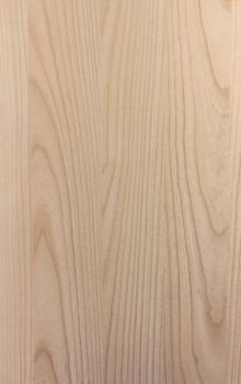 Surface of wood background with natural pattern