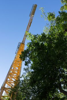 A crane rises among the trees and vegetation.