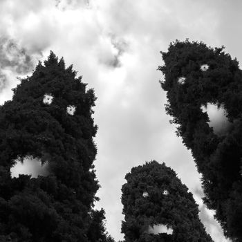 Creepy trees with evil eyes, hungry mouths and teeth (for Halloween themes).