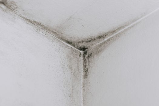 Mold from condensation on the walls corner in the room stock photo