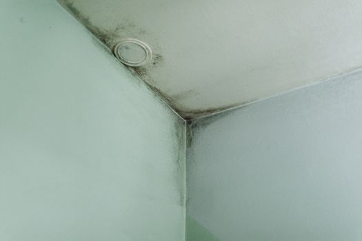 Mold from condensation on the walls corner in the room stock photo