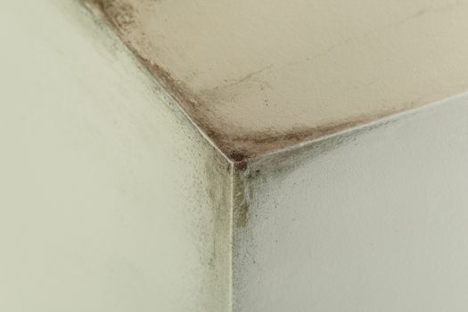 Mold from condensation on the walls corner in the room stock photo