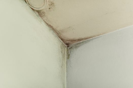 Mold from condensation on the walls corner in the room stock photo