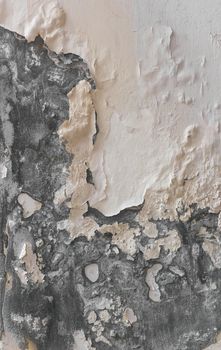 Peeling paint and moldy, indicating damp on the wall. Water Leaks. Peeling paint. Ideal for backgrounds and concepts.