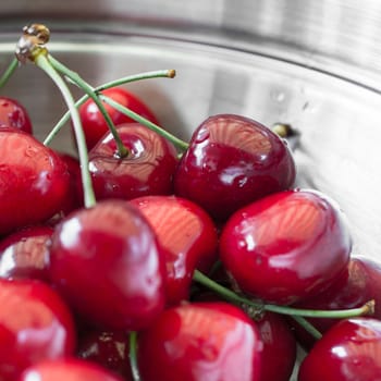 Fresh ripe wet red cherries in a steel plate. Extreme close-up.