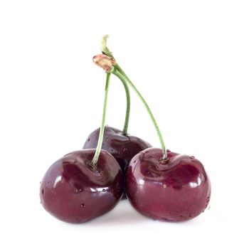 Three cherries covered with small drops of water, on white background.