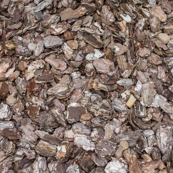 Flakes of bark used as an ornamental element for the gardening