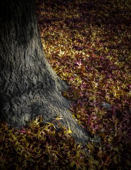 Carpet of fallen green leaves at the foot of a tree.