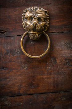 An old knocker in the shape of lion on an old door.