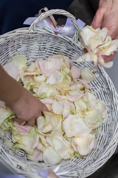 Hands grab rose petals in a wicker basket.