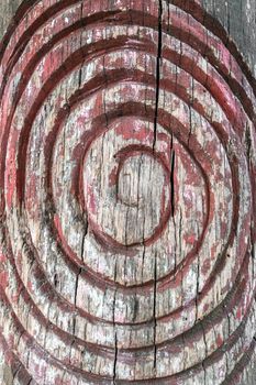 Spiral symbol engraved on the bark of a tree. Ideal for concepts, backgrounds and textures.