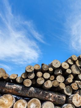 Close up view of a stack up of firewood for the winter. Firewood background.