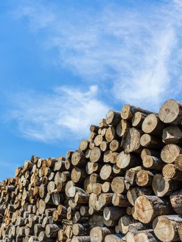 Close up view of a stack up of firewood for the winter. Firewood background.