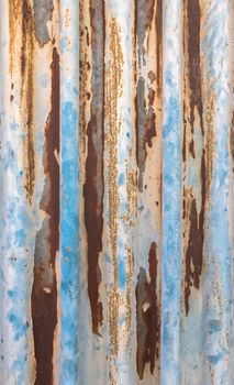 Old corrugated metal texture with rust spots on surface and peeled-off paint.