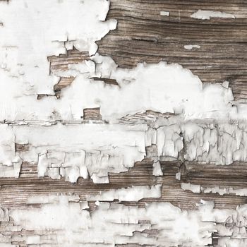Peeling paint on wood. Background of old board with peeling white paint.