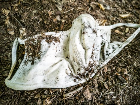 Surgical white masks in nature. Corona virus pollution. Leherheide, Bremerhaven.