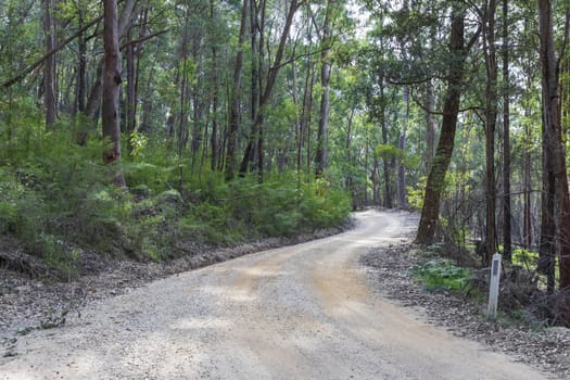 A dirt track in the Wollemi National Park in regional New South Wales in Australia