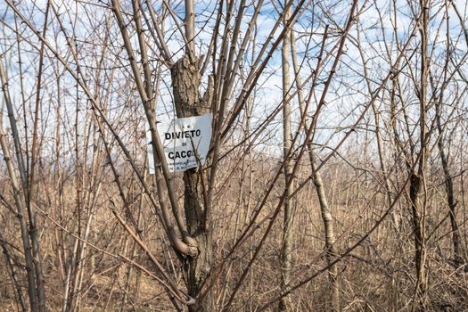 Italian NO HUNTING sign (in italian DIVIETO DI CACCIA) on a tree branch. Bergamo, ITALY - February 13, 2020.