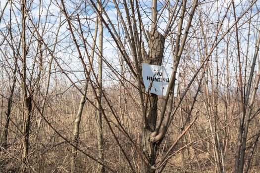 No hunting sign tacked on tree in the wood