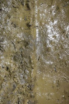 Texture of mud. Wet dirt. Puddle. Mud background