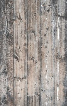 Old wood texture. Wood plank texture for your background.