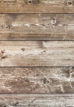 Rustic wooden background. Vertical wooden plank with knots, pattern of natural aged color.