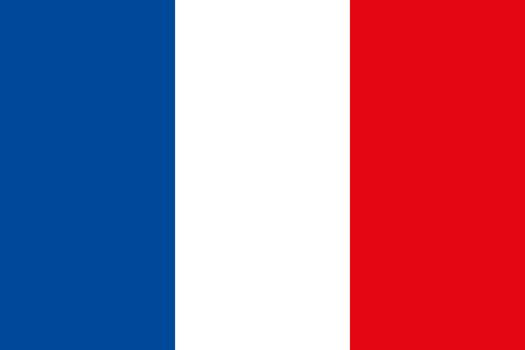 French flag. Official state symbol of country.