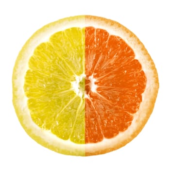 Half slice lemon, half slice orange. Citrus fruit. Mix of lemon and orange.