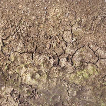 Cracked earth background. Cracked soil ground, desert cracks, dry soil. Arid, drought land. Caused by global warming and deforestation.