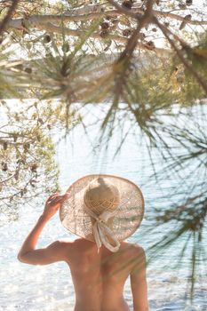 Rear view of topless beautiful woman wearing nothing but straw sun hat realaxing on wild coast of Adriatic sea on a beach in shade of pine tree. Relaxed healthy lifestyle concept.