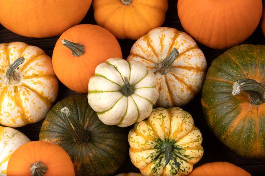 Assortiment of autumn harvested pumpkins in a heap background , Halloween holiday concept