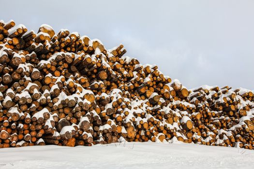 Logs of wood covered with snow stacked next to road.