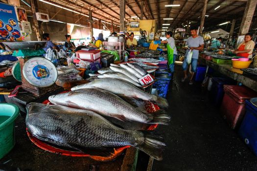 Takua Pa, Thailand - February 22, 2016:  Fresh fish and seafood on local market.