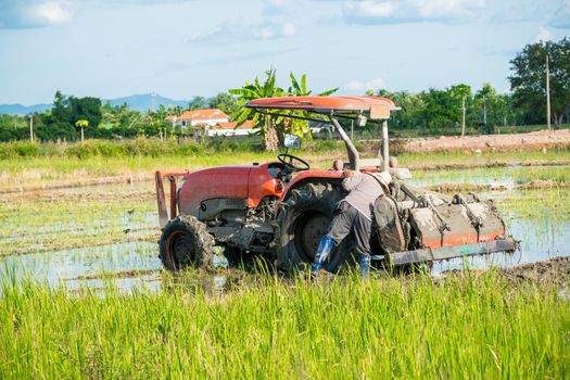 Farmer are repairing tractor in the fields