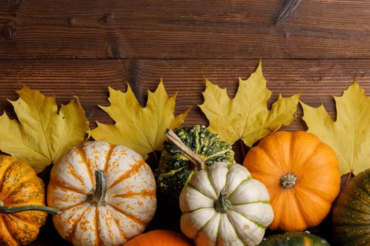 Many colorful pumpkins and maple leaves frame on wooden background , autumn harvest , Halloween or Thanksgiving concept