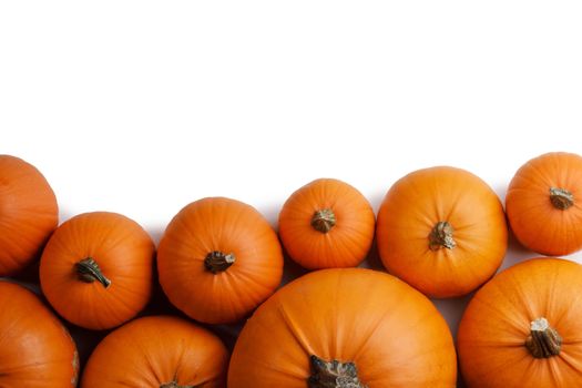 Heap of many orange pumpkins on white background , Halloween concept , copy space for text