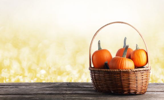 Little pumpkins in basket still life over glowing golden bokeh lights