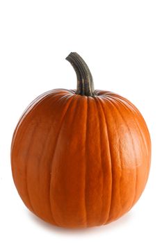 One pumpkin isolated on white background