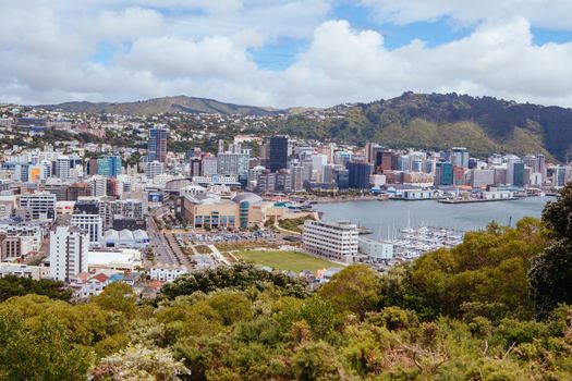 View from Mt Victoria over Wellington on a clear spring day in North Island, New Zealand