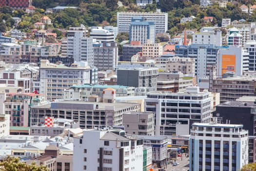 View from Mt Victoria over Wellington on a clear spring day in North Island, New Zealand