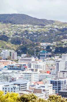 View from Mt Victoria over Wellington on a clear spring day in North Island, New Zealand