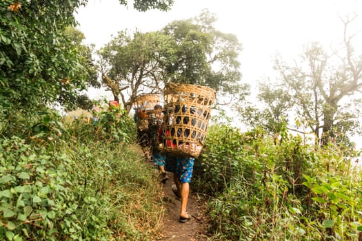 Porters that carry luggage of tourists walking to Doi Mon Chong, Chiang Mai.