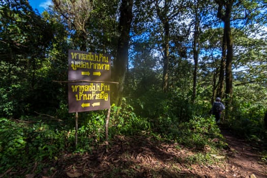 Sign Provide directions during the journey to Doi Moi, Chiang Mai.