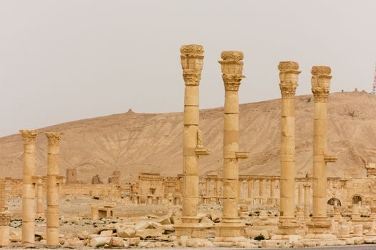 Palmyre Syria 2009 This ancient site has many Roman ruins, these standing columns shot in late afternoon sun with the citadel on the hill in the background . High quality photo