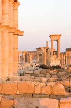 Palmyre Syria 2009 This ancient site has many Roman ruins, these standing columns shot in late afternoon sun with the citadel on the hill in the background . High quality photo