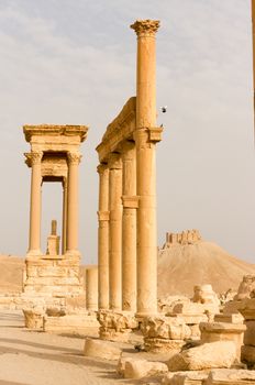 Palmyre Syria 2009 This ancient site has many Roman ruins, these standing columns shot in late afternoon sun with the citadel on the hill in the background . High quality photo