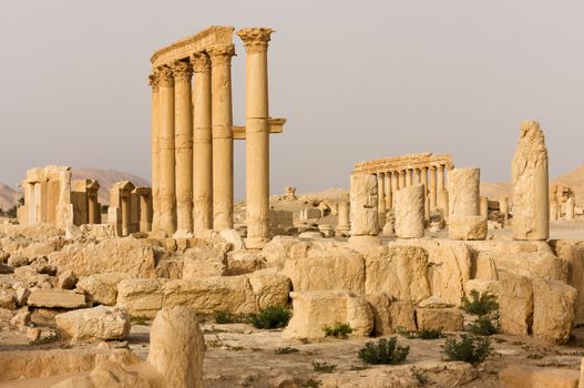 Palmyre Syria 2009 This ancient site has many Roman ruins, these standing columns shot in late afternoon sun with the citadel on the hill in the background . High quality photo